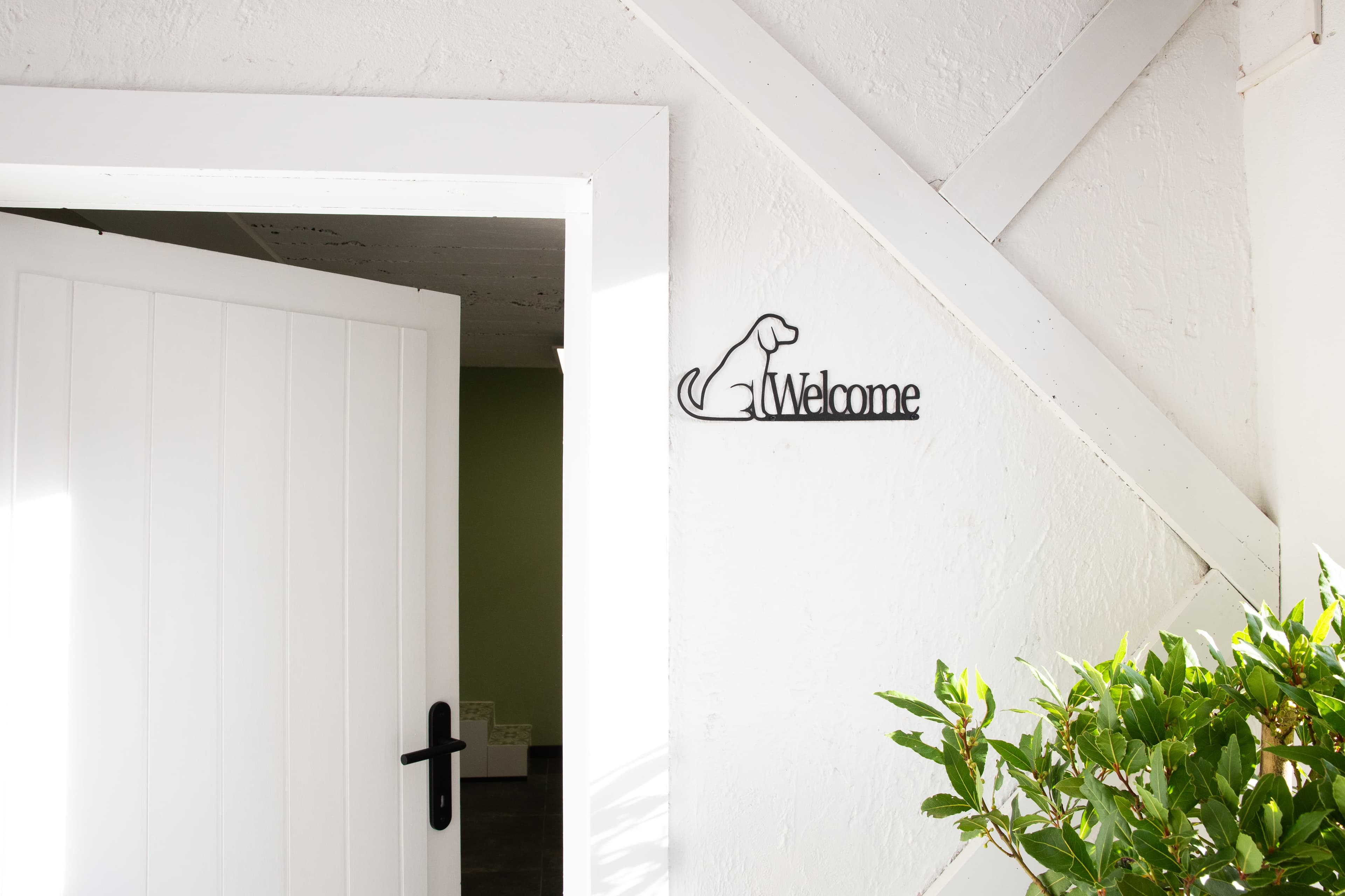 Een rustige en liefdevolle trimsalon voor honden