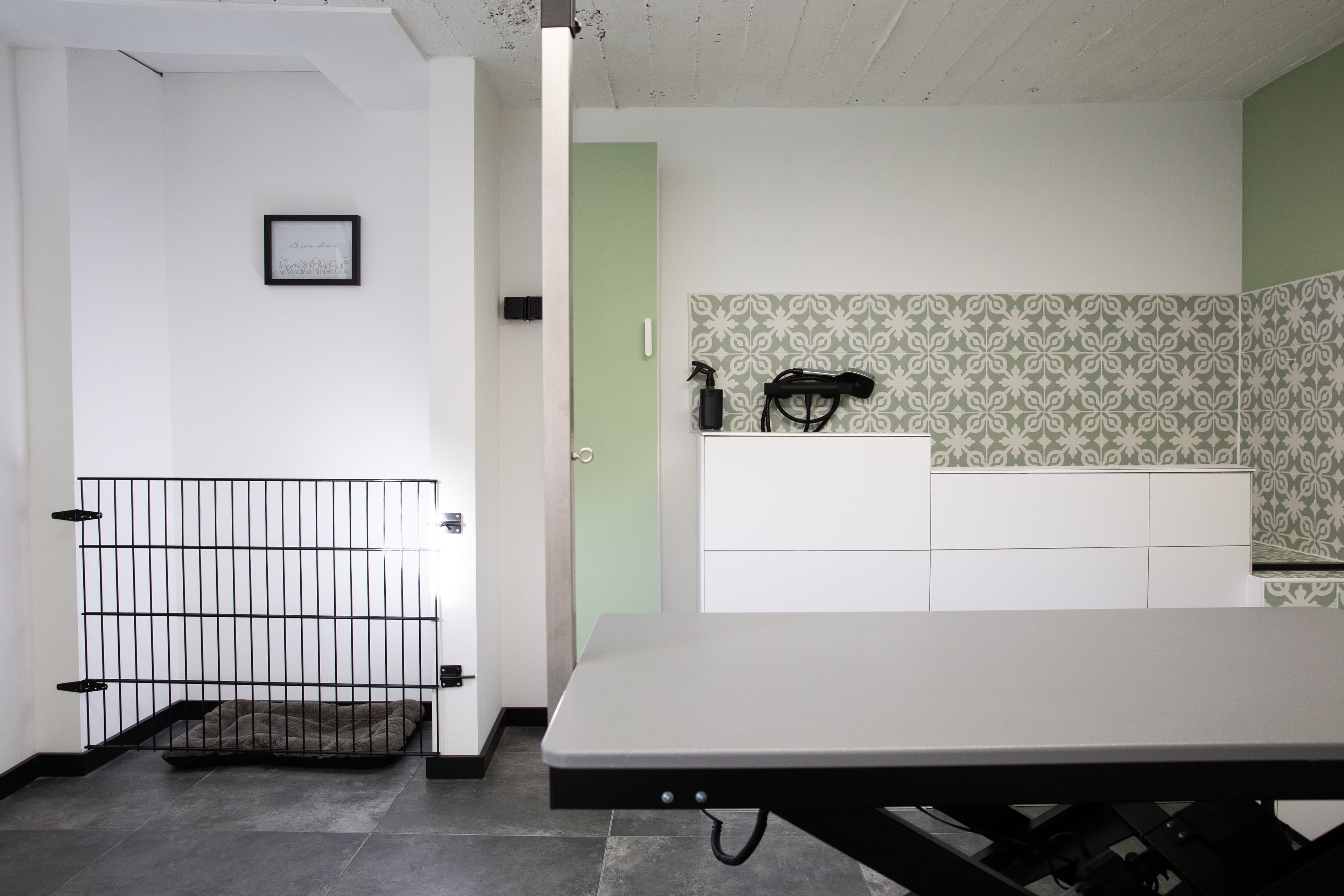 Hond in bad bij Molly's Trimsalon