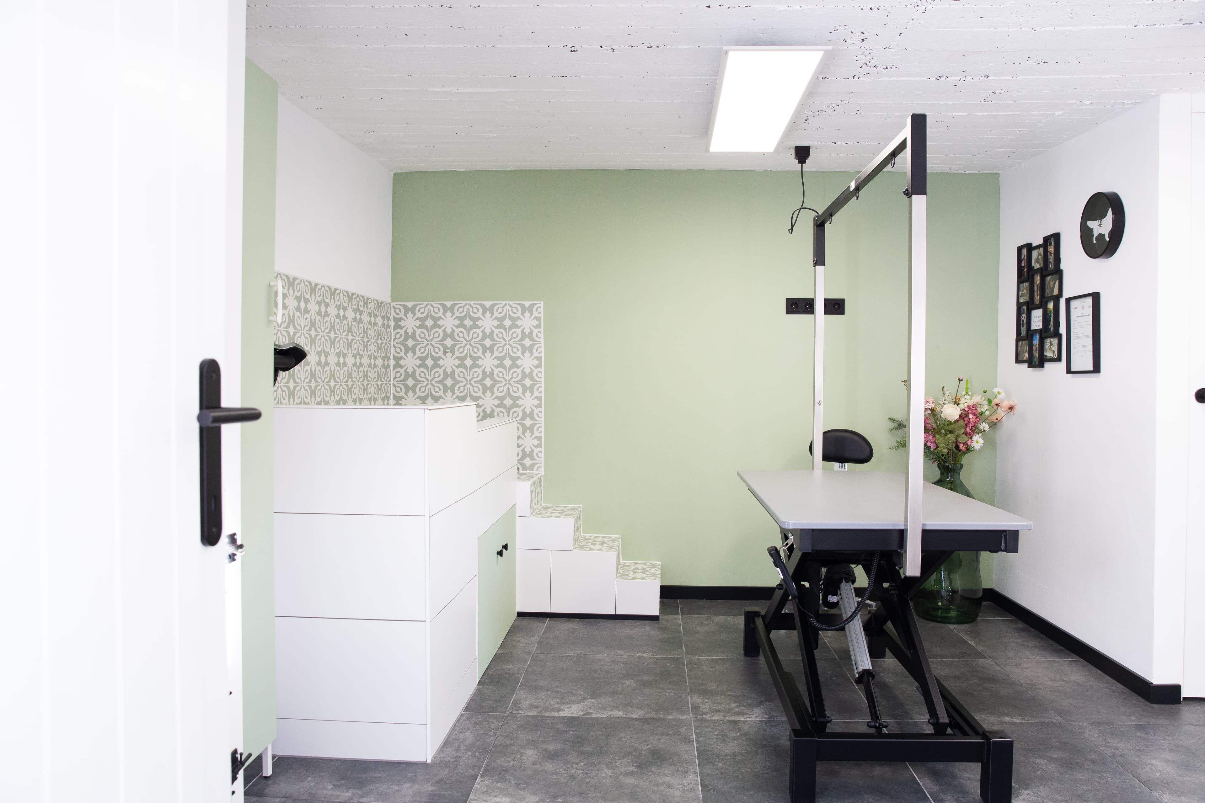 Professionele verzorgingsproducten in Molly's Trimsalon